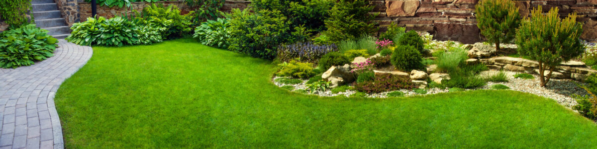 Garden stone path with grass growing up between the stones.Detail of a botanical garden.