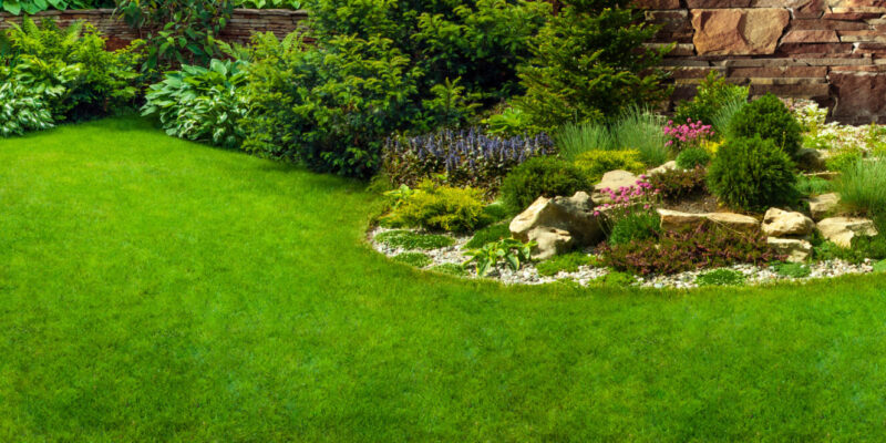 Garden stone path with grass growing up between the stones.Detail of a botanical garden.